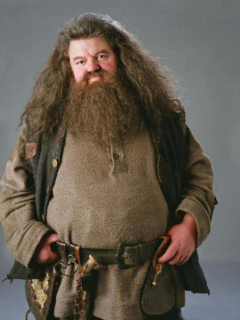 Hagrid, de 'Harry Potter'.