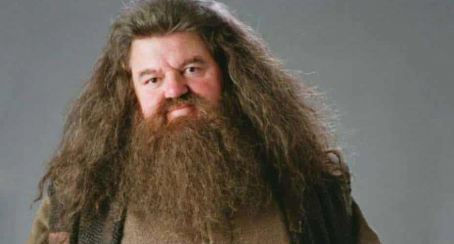 Hagrid, de 'Harry Potter'.