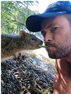 Chris Hemsworth, actor australiano.