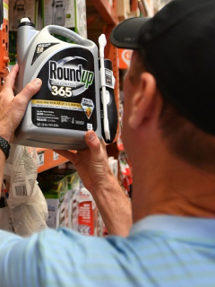 Hombre observa recipiente con Roundup