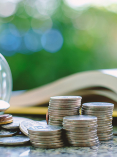 libro y monedas