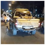 Perro abandonado