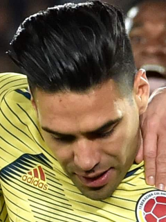 Falcao