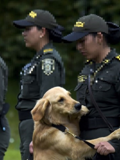 Mujeres de la Policía