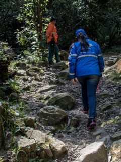 Quebrada La Vieja