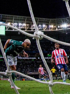 Palmeiras Junior