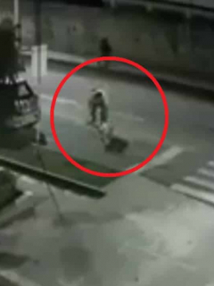 Perro pitbull ataca a varias personas