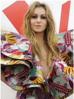 Paulina Rubio y su ex, Nicolas Vallejo-Nagera.