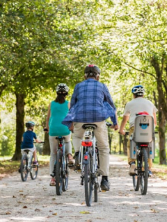 Bicicletas