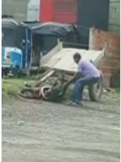 Caballo maltratado.