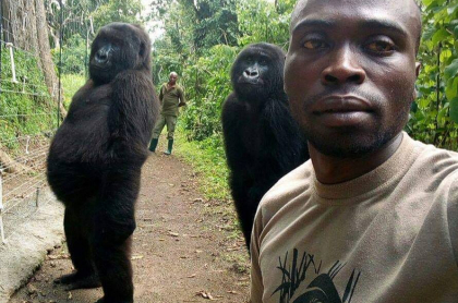 Selfie de un cuidador de gorilas en Virunga