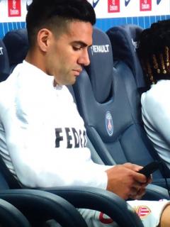 Falcao