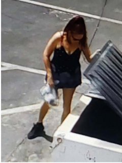 Mujer bota perros a la basura.