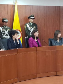Corte Constitucional