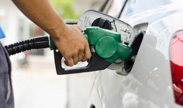 Gasolina