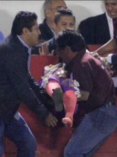 Hilda Tenorio después de la cornada
