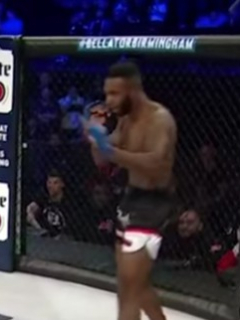 Luchadores de UFC
