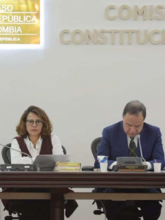 Ministra del Interior, Nancy Patricia Gutiérrez