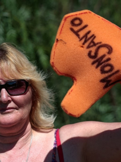 Activista contra Monsanto y el glifosatoActivista contra-Monsanto-y-el-glifosato
