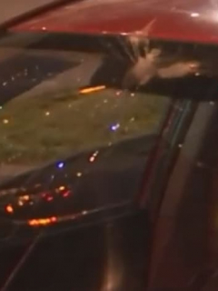 Auto con vidrios rotos