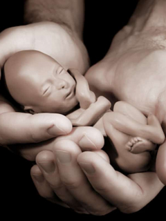 Aborto