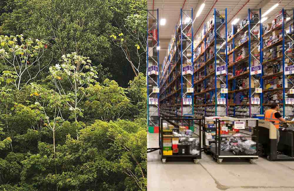 Amazonas y Amazon