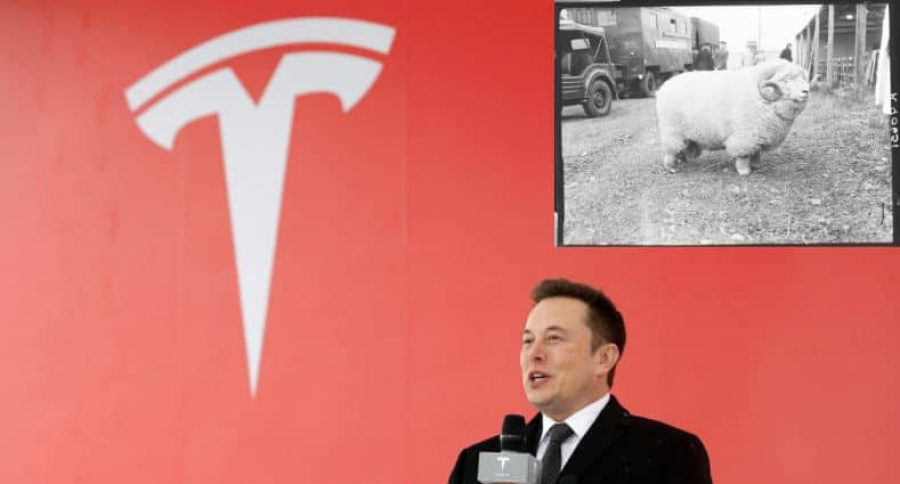 Elon Musk e imagen viralizada en Twitter