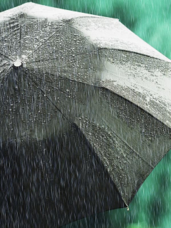 Lluvia