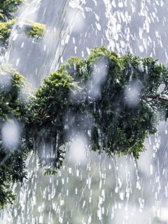 Lluvia