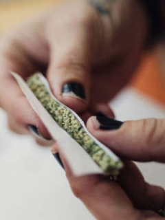 Marihuana
