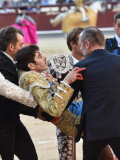 Torero