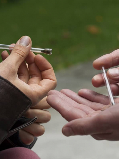 Personas manipulando marihuana.
