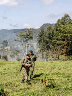 Militares Ejército Colombia