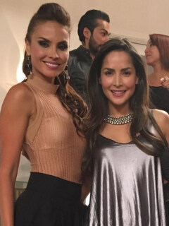 Carolina Sepúlveda, Carmen Villalobos, Alejandra Pizón, Majida Issa y Fabián Ríos, actores.