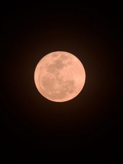 Luna de fresas