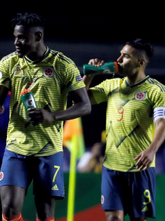 Duvan Zapata y Falcao García