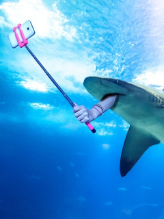 Palo de selfi y tiburones