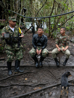 Exguerrilleros de las Farc en zonas de reintegración