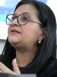 Carmen Teresa Castañeda Villamizar