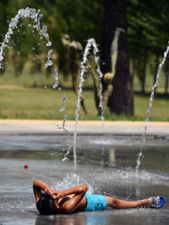 Calor