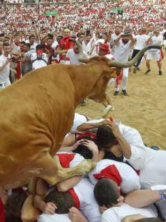 Toro