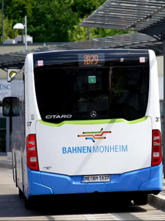 Buses