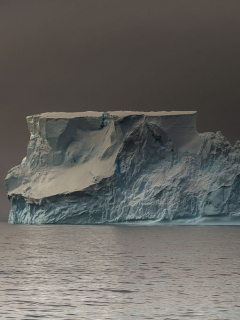 Iceberg