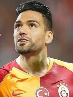 Falcao