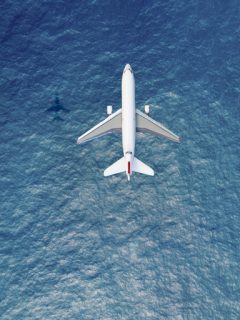 Vuelo