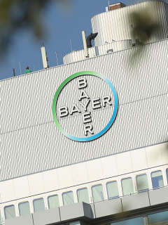 Bayer