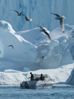 Icebergs