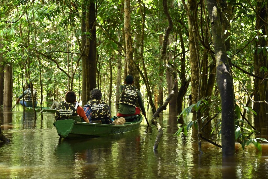 Selva amazónica, Reserva Mamiraua