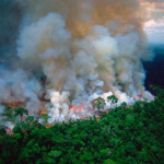 Foto falsa de incendio de la Amazonia
