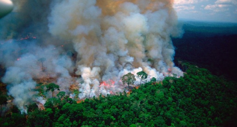 Foto falsa de incendio de la Amazonia